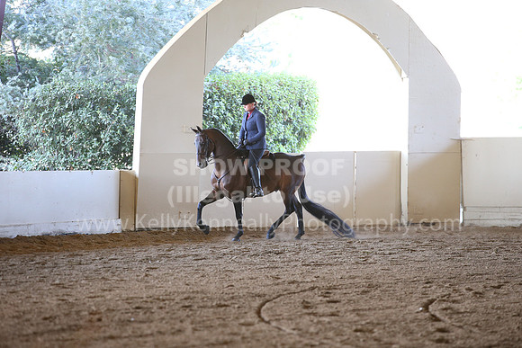 MLMH_2018_3690
