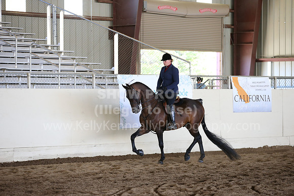MLMH_2018_3695