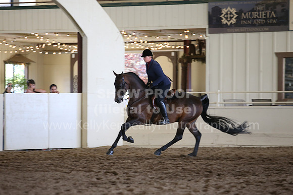 MLMH_2018_3708
