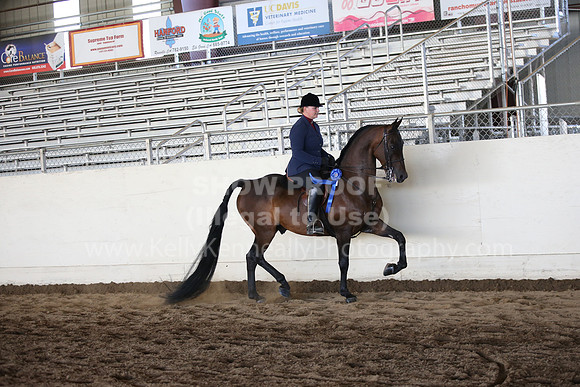 MLMH_2018_3721