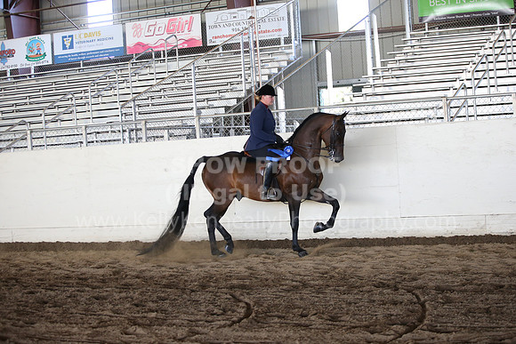 MLMH_2018_3722