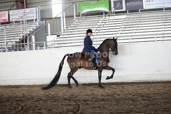 MLMH_2018_3723