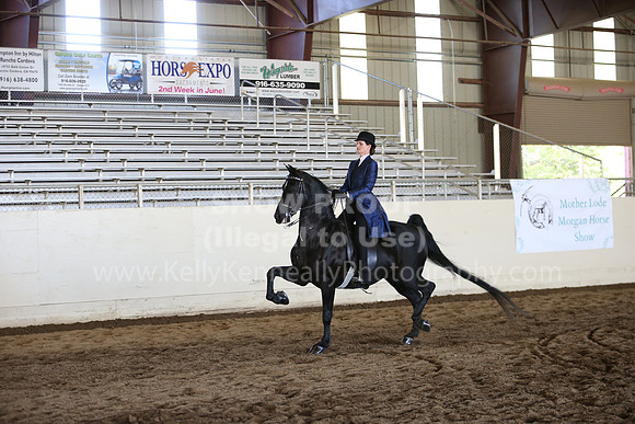 MLMH_2018_3736
