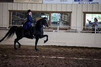 MLMH_2018_3749