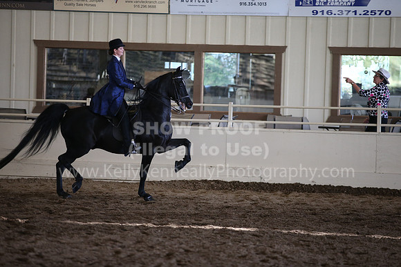 MLMH_2018_3749