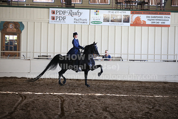 MLMH_2018_3750
