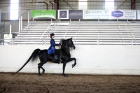MLMH_2018_3759