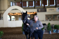 MLMH_2018_1249