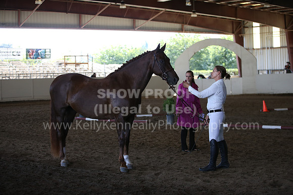 MLMH_2018_1355
