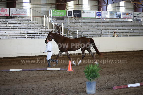 MLMH_2018_1360
