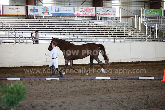 MLMH_2018_1361