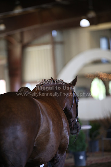 MLMH_2018_1366