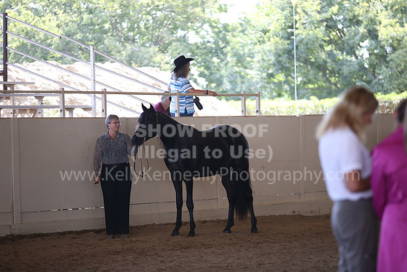 MLMH_2018_1484