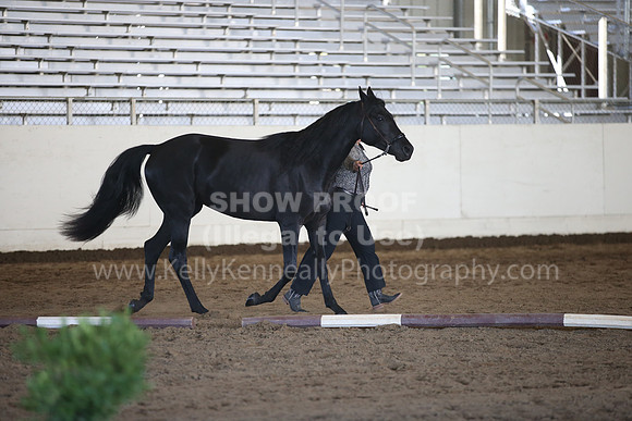 MLMH_2018_1490