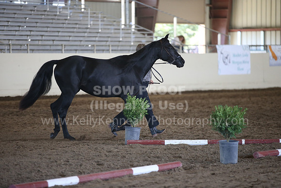 MLMH_2018_1492