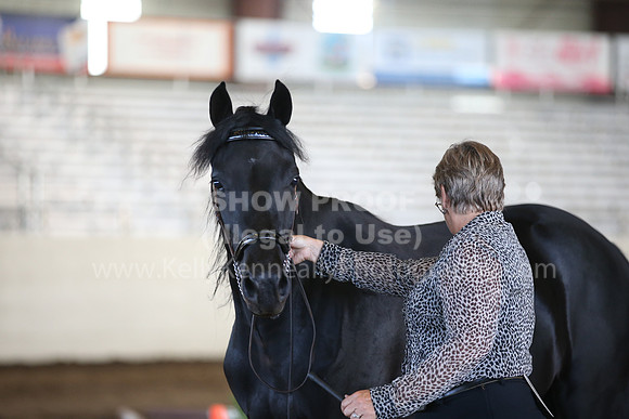MLMH_2018_1496
