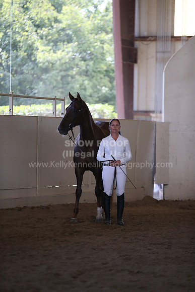 MLMH_2018_1497