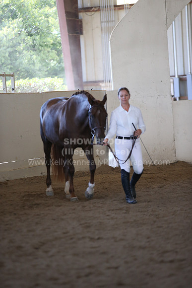 MLMH_2018_1499