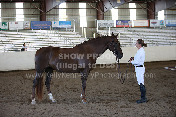 MLMH_2018_1503