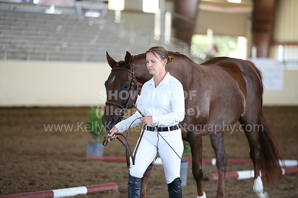 MLMH_2018_1507