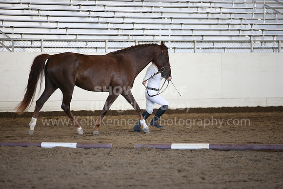 MLMH_2018_1508