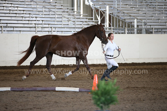 MLMH_2018_1509