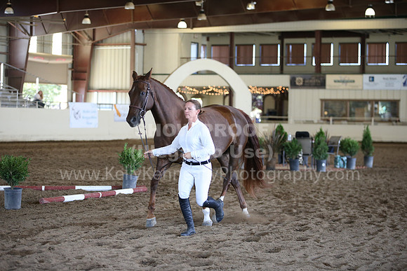 MLMH_2018_1513