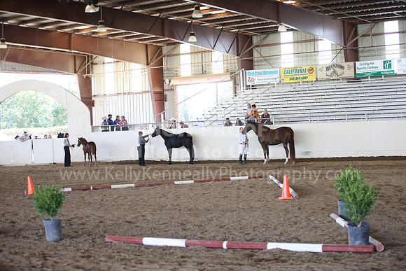 MLMH_2018_1516