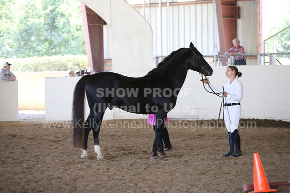 MLMH_2018_1635