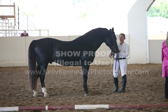 MLMH_2018_1636
