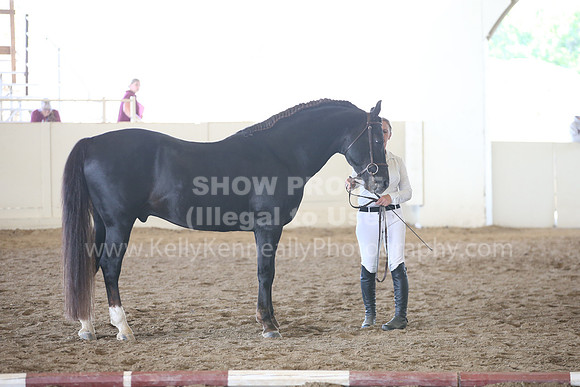 MLMH_2018_1637