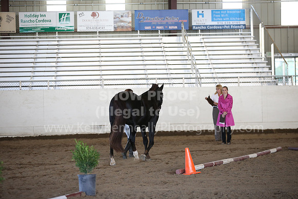 MLMH_2018_1640