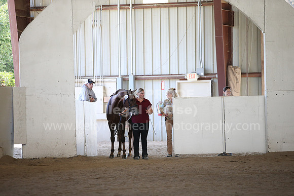 MLMH_2018_1650