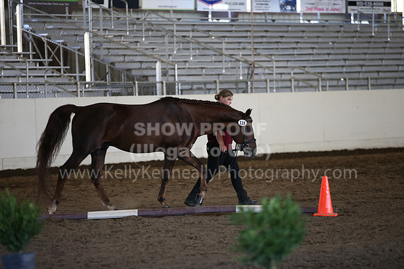 MLMH_2018_1659