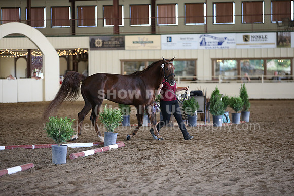MLMH_2018_1665