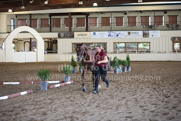 MLMH_2018_1667
