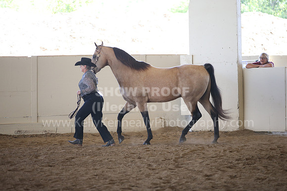 MLMH_2018_1843