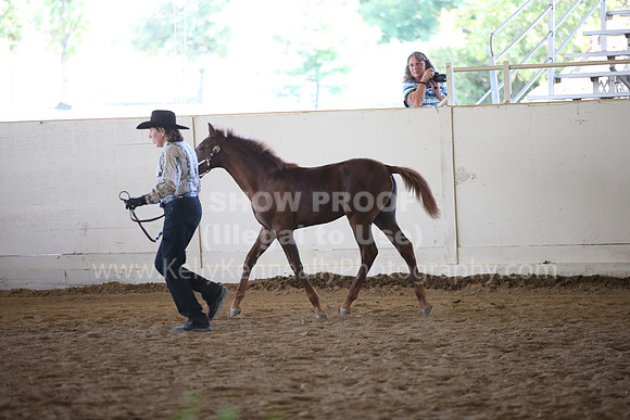 MLMH_2018_1849