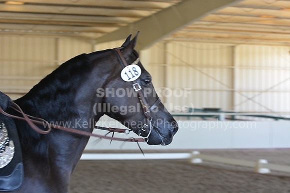 MLMH18_Day1_0289