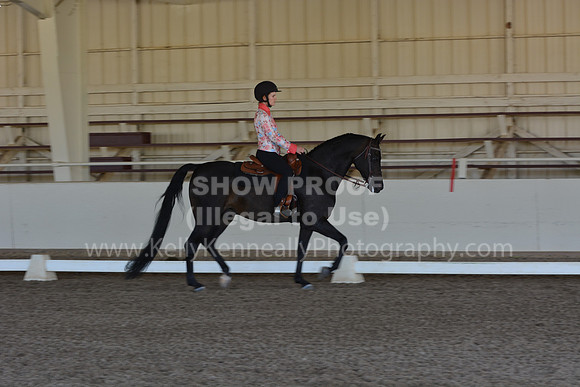 MLMH18_Day1_0364