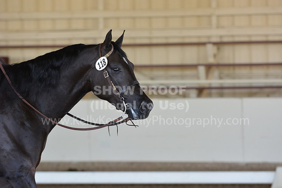 MLMH18_Day1_0396