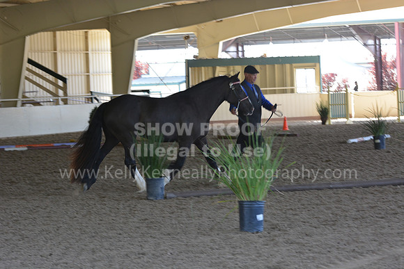 MLMH18_Day1_0620