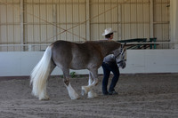 MLMH18_Day1_0625