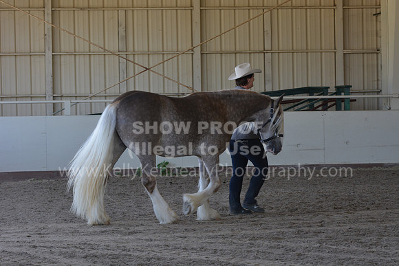 MLMH18_Day1_0625