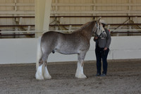 MLMH18_Day1_0626