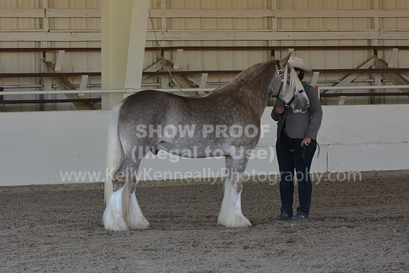 MLMH18_Day1_0626