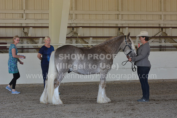 MLMH18_Day1_0628