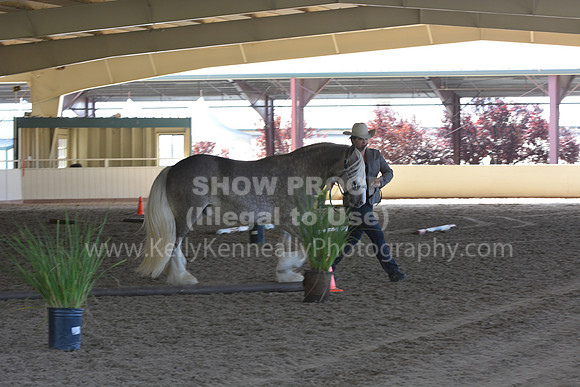 MLMH18_Day1_0631