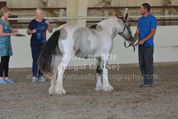 MLMH18_Day1_0637