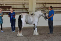 MLMH18_Day1_0638